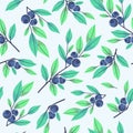 Blueberry seamless pattern. Branches with blue berries.